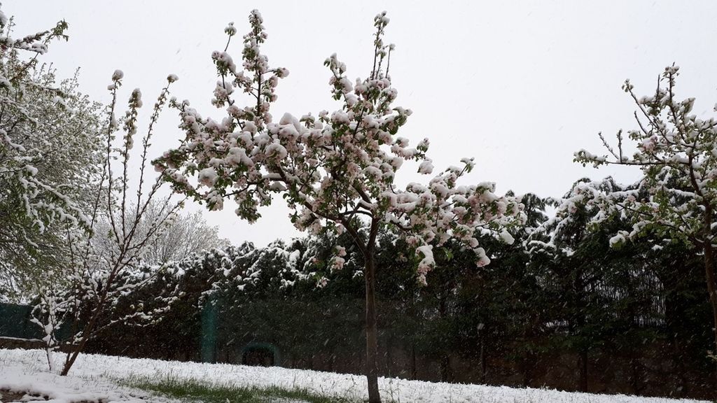 Nieva en plena primavera