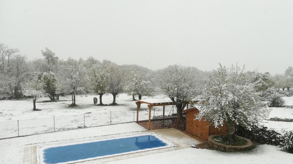 La nieve dificulta la circulación en la N-VI en el Puerto de los Leones (Segovia)