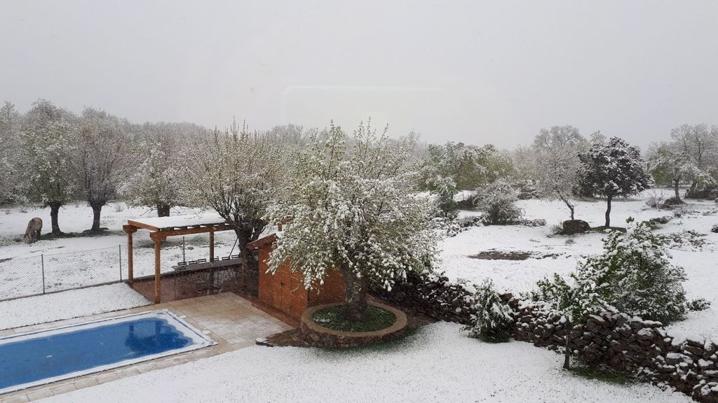 La nieve dificulta la circulación en la N-VI en el Puerto de los Leones (Segovia)