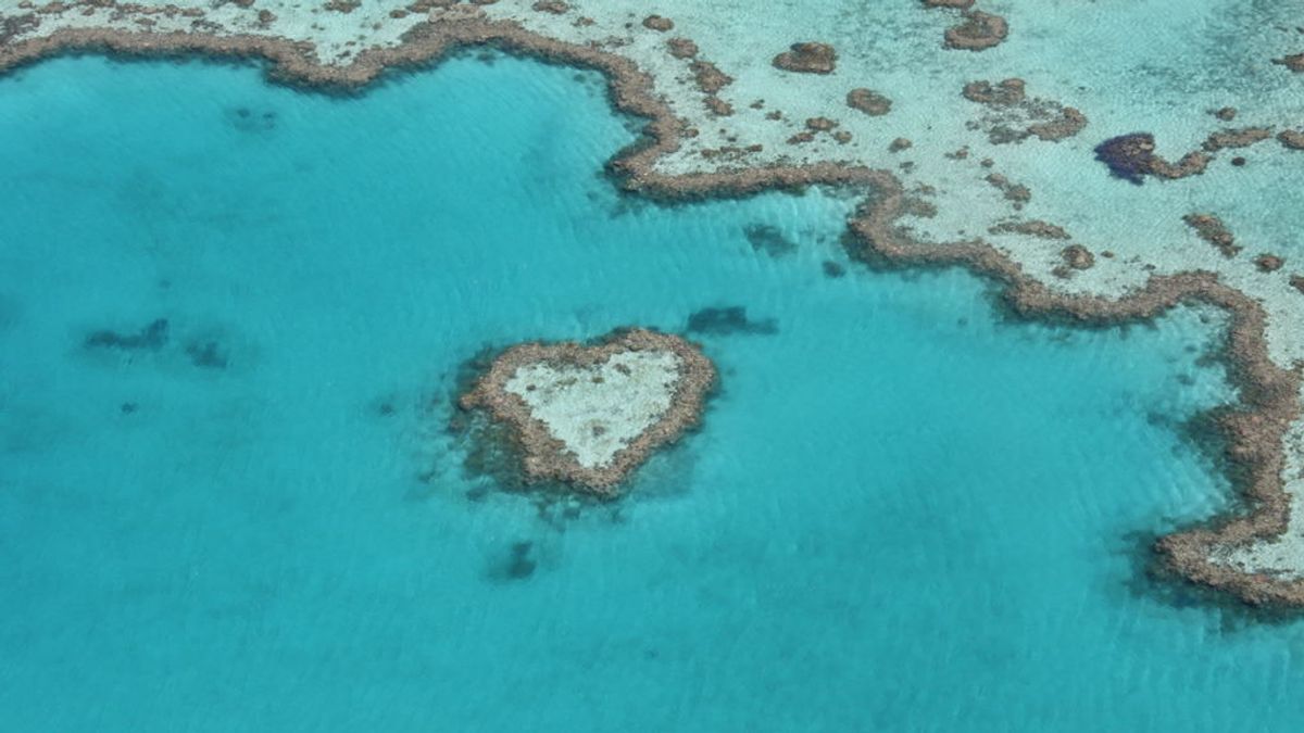 Australia destinará 305 millones de euros para proteger la Gran Barrera de Coral