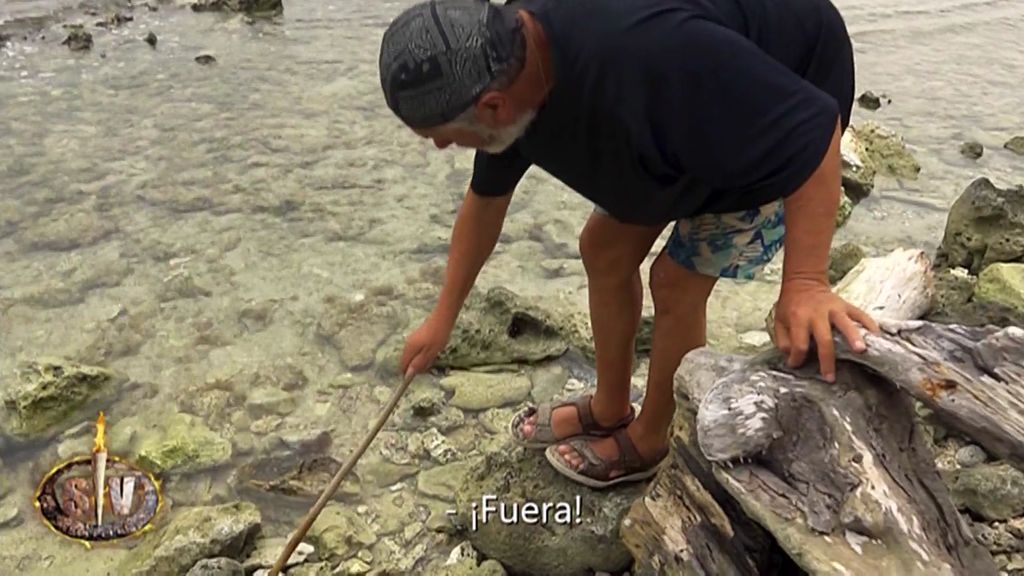 Francisco se encuentra una morena en la playa: “Se ha comido medio cangrejo de un bocado”