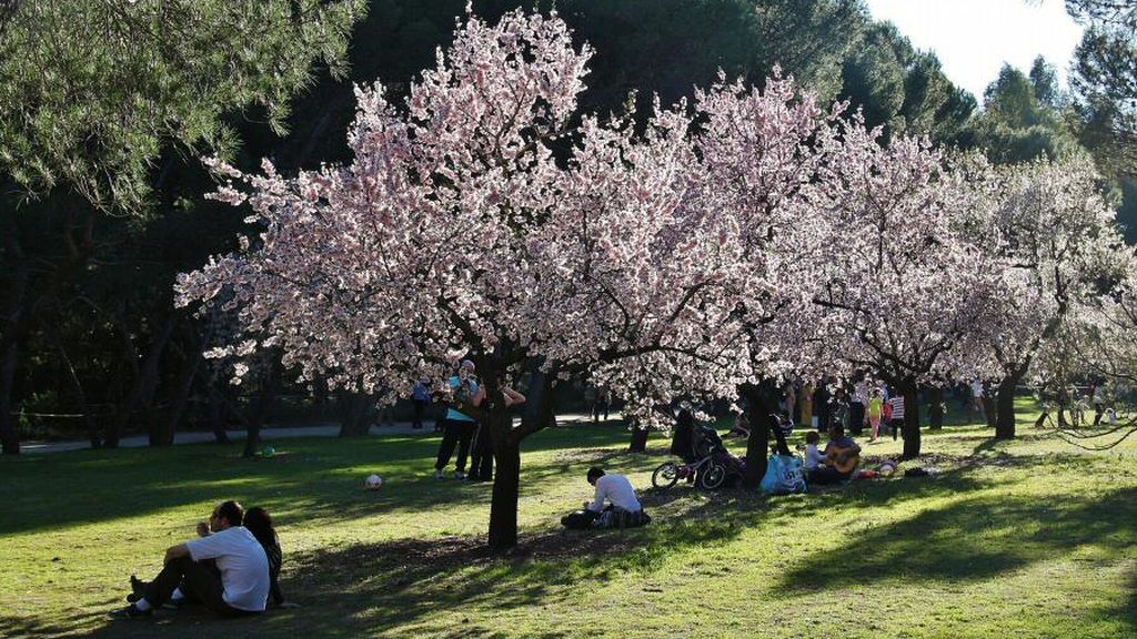 fotos-madrid-parque-quinta-molinos-016