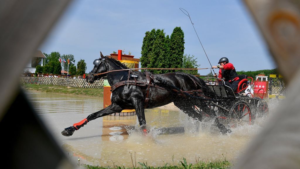 Competición internacional de carruajes
