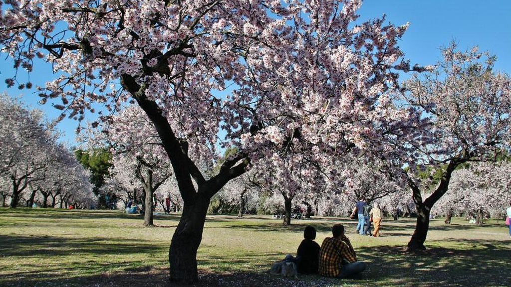 Once sitios para amar la primavera en Madrid y alrededores a menos de una hora