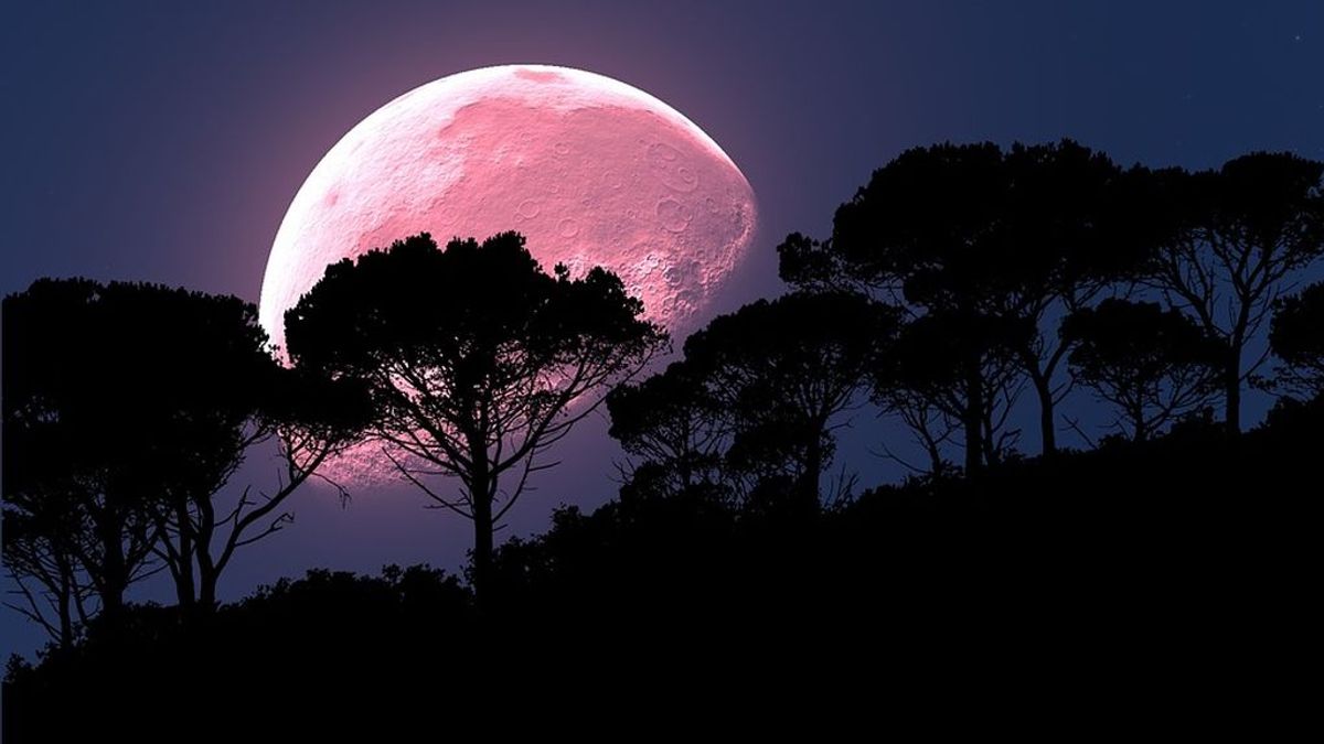 La 'luna rosa': el fenómeno que se podrá observar esta noche