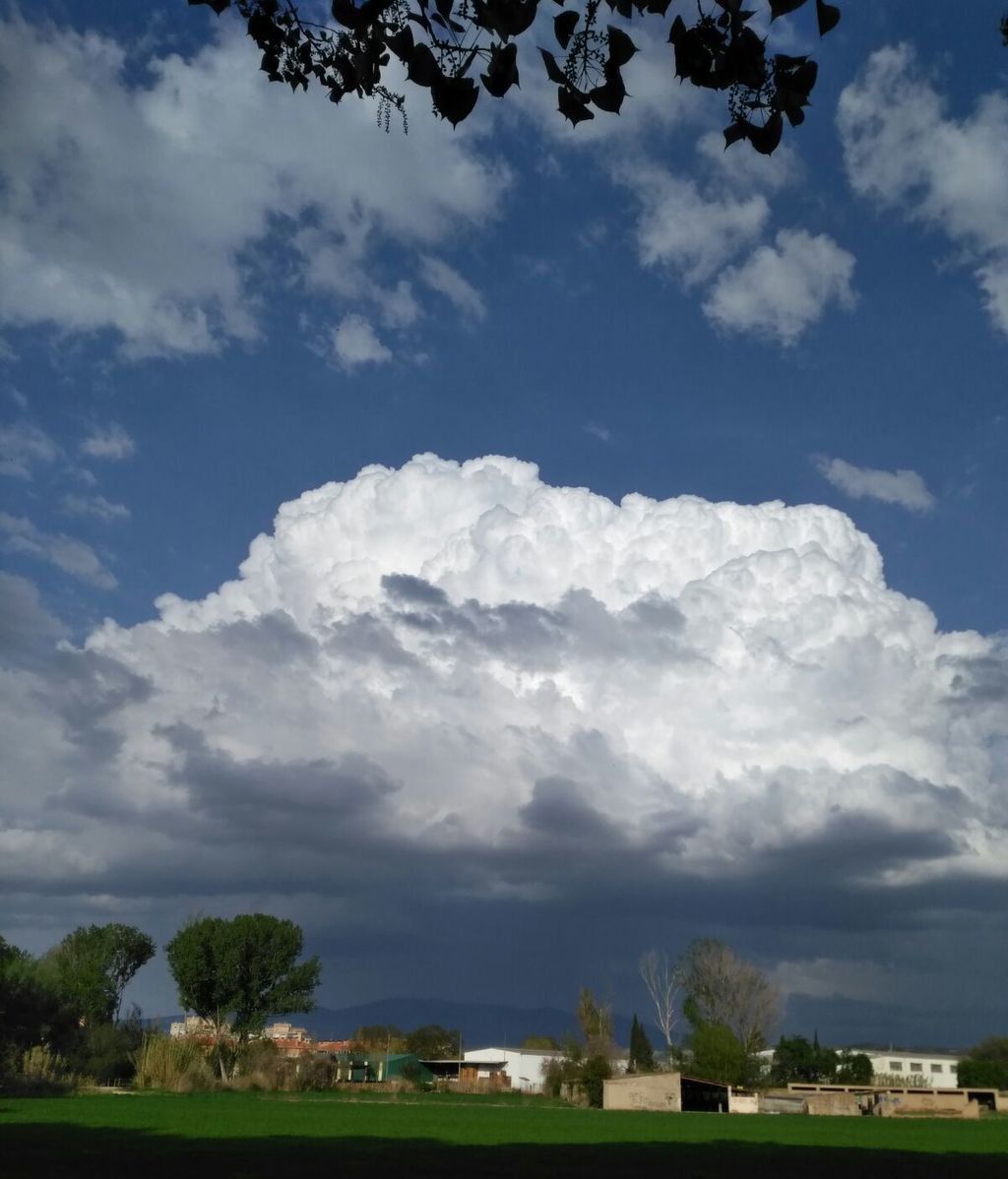 Hortensia Pardos en Calatayud, Zaragoza
