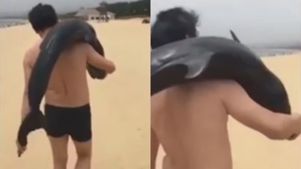 Un turista se pasea por un playa china con un delfín al hombro
