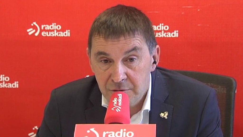 Otegi lamenta que hoy "hay gente que quiere echar agua al vino"