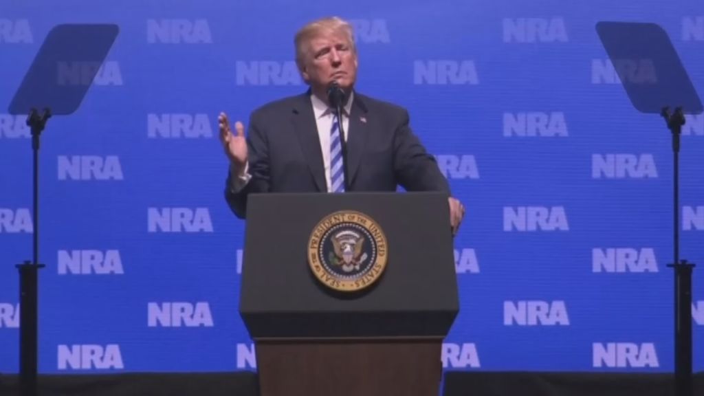 Trump promete garantizar el derecho a llevar armas en Estados Unidos