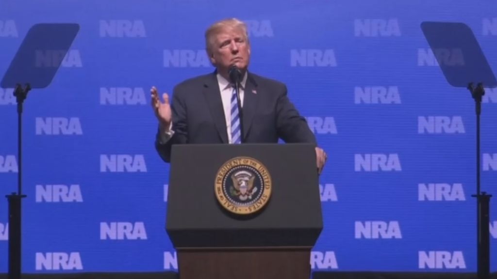 Trump promete garantizar el derecho a llevar armas en Estados Unidos