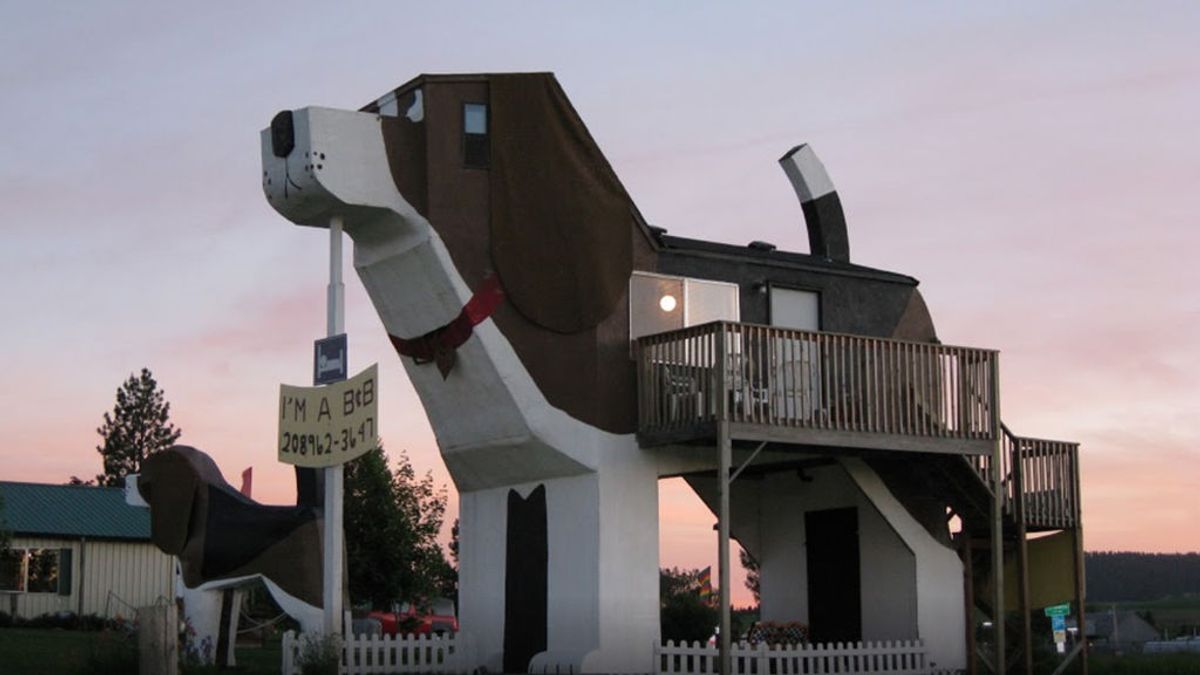 El reclamo turístico de una ciudad, un curioso hotel con forma de ... ¡perro!