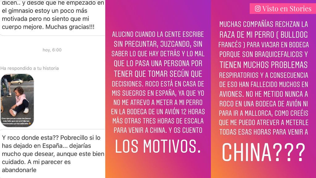 collage 2 con mosca