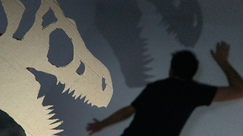 Javier Caireta Serra