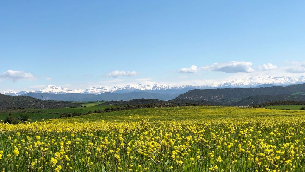 Los usuarios nos muestran el tiempo que hace en su localidad en primavera ¡Participa!