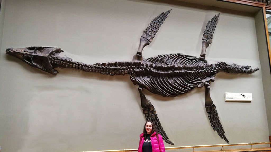 Mercedes Ortiz Criado