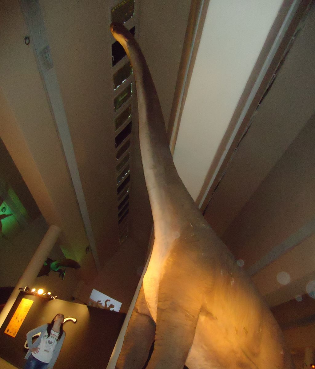 Tamara Molinero Calderón