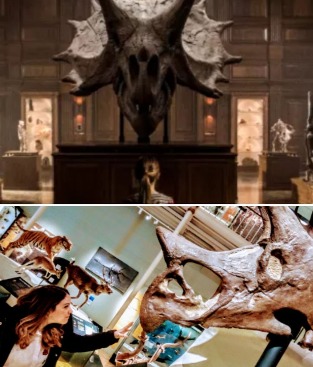 David Corrales Morales