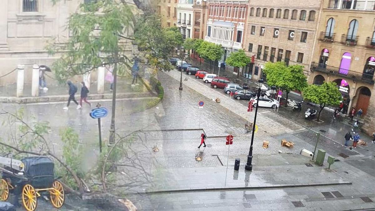 Lo que arrasó en Sevilla fue un tornado, sino un gustnado: cuál es la diferencia