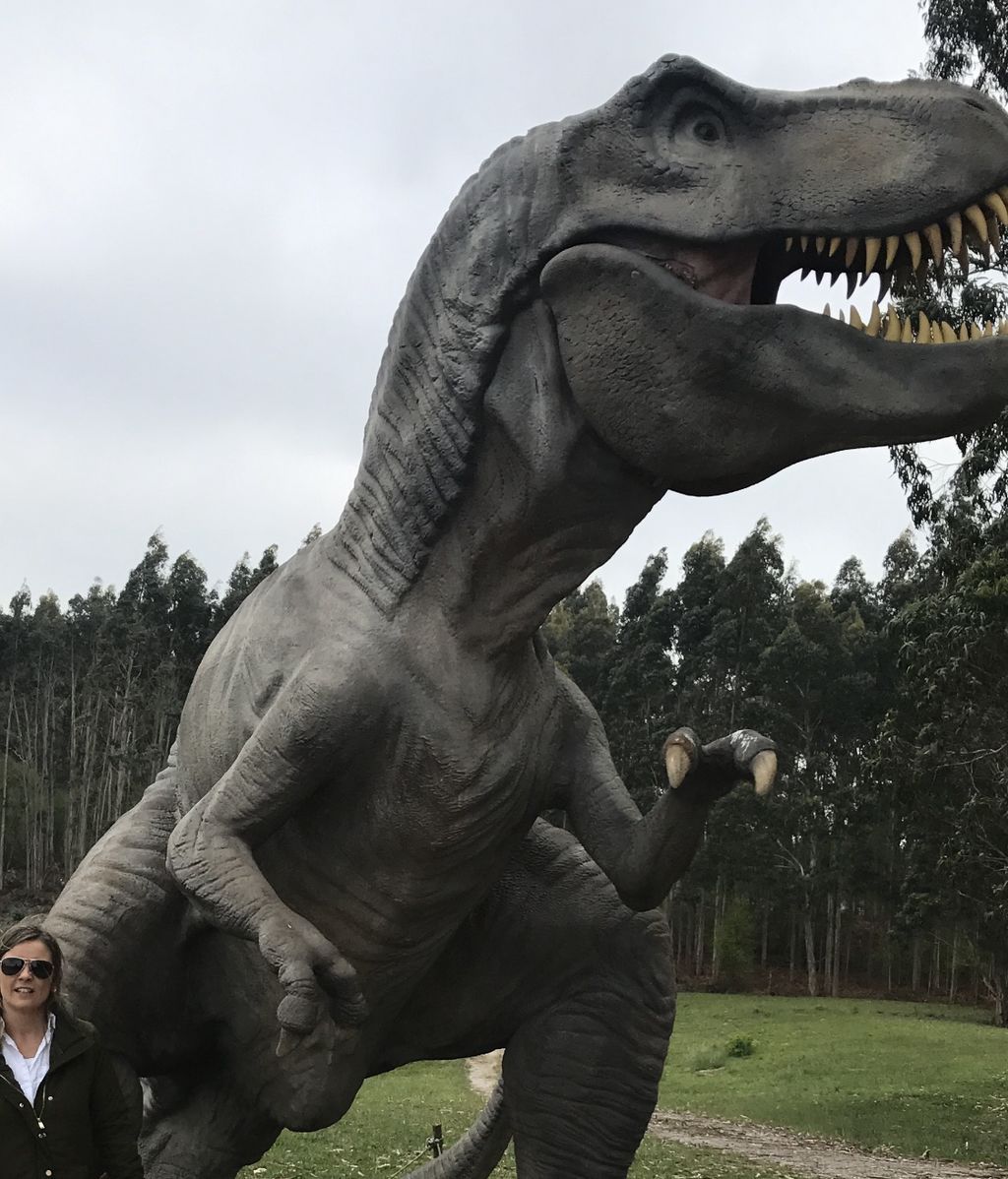 Rosaura Puga García