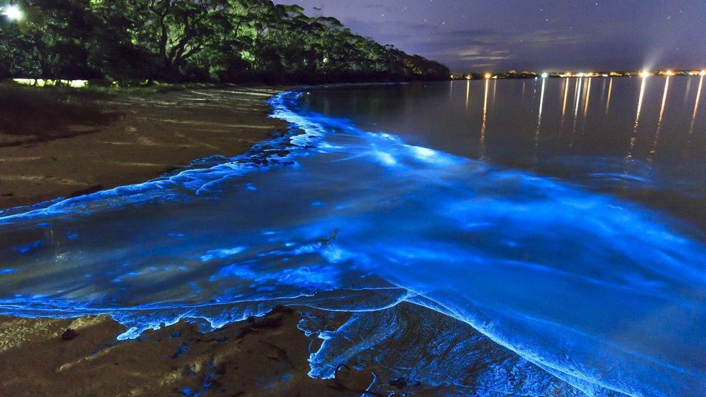 El increíble fenómeno natural que tiñe de azul 