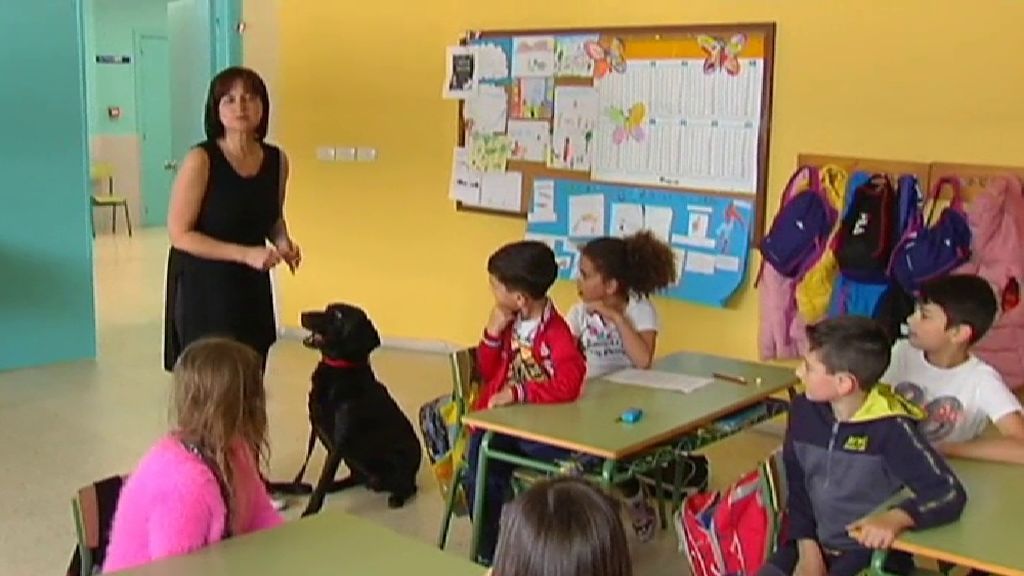 La emotiva historia de Connor, el profesor de cuatro patas que conmueve a los niños