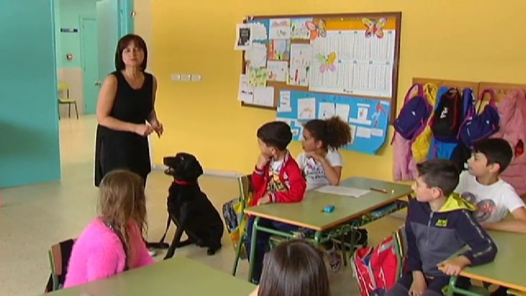 La emotiva historia de Connor, el perro profesor que conmueve a los niños