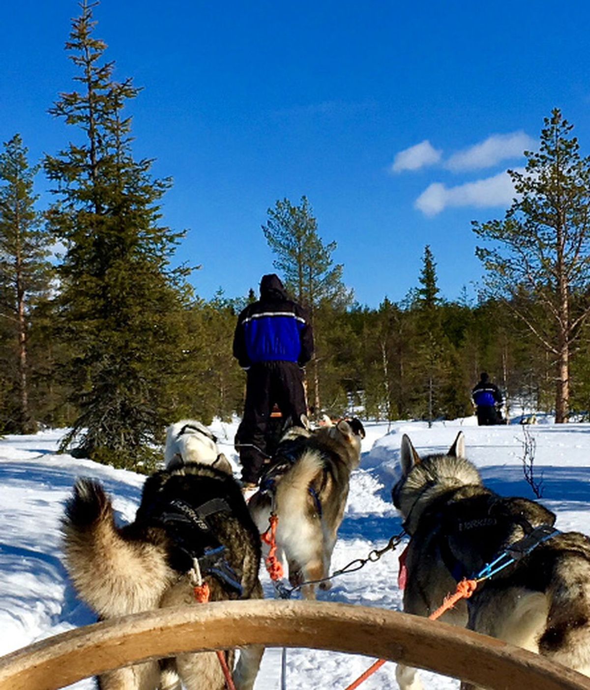 6 actividades para no perderse en Laponia Finlandesa