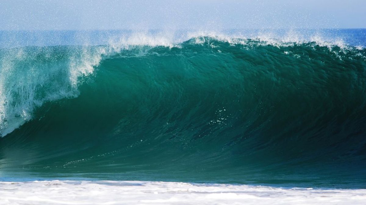 Una ola monstruosa de 23,8 metros, ha sido registrada al sur de Nueva Zelanda
