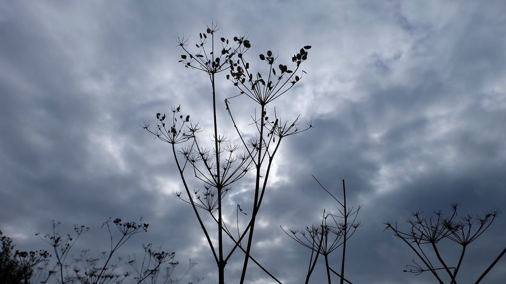 stormy-sky-3393745_1920