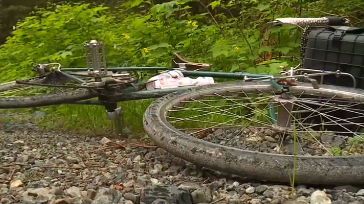 Un puma mata a un ciclista en una zona montañosa de Washington