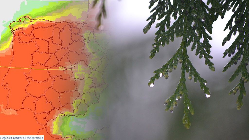 Saca el paraguas: por lo menos tendremos 7 días de lluvias Saca el paraguas: por lo menos tendremos 7 días de lluvias