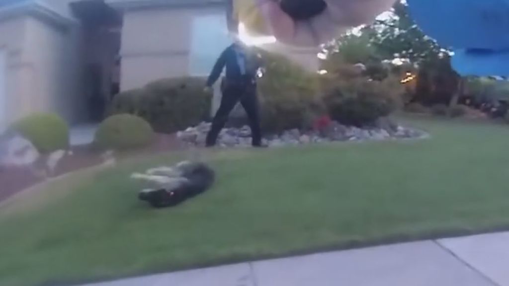 Un policía dispara con un táser a un perro en una investigación de violencia doméstica