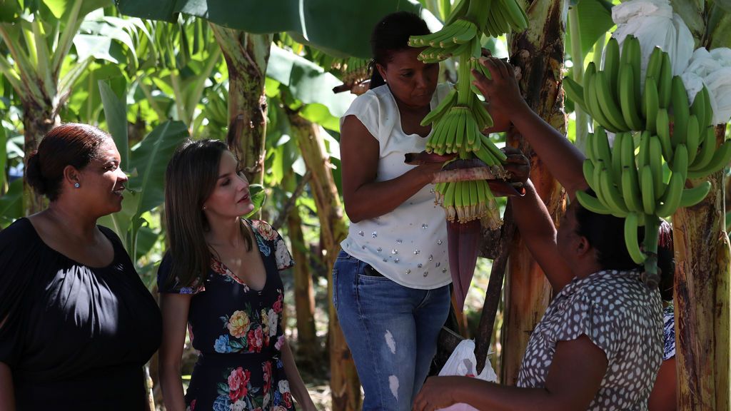 La reina Letizia visita una plantación de bananos en República Dominicana