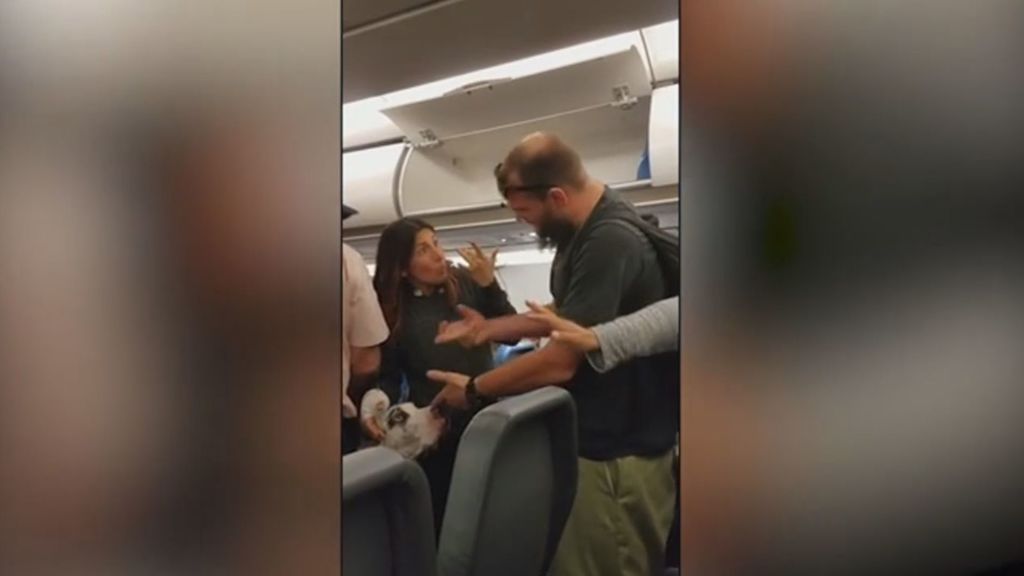 Una mujer sorda y embarazada es golpeada por un pasajero en pleno vuelo