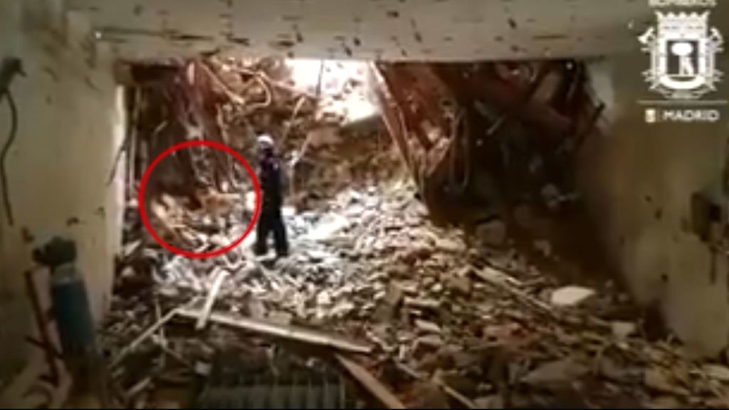 Así trabajan los perros que buscan a los obreros en el edificio derrumbado en Madrid