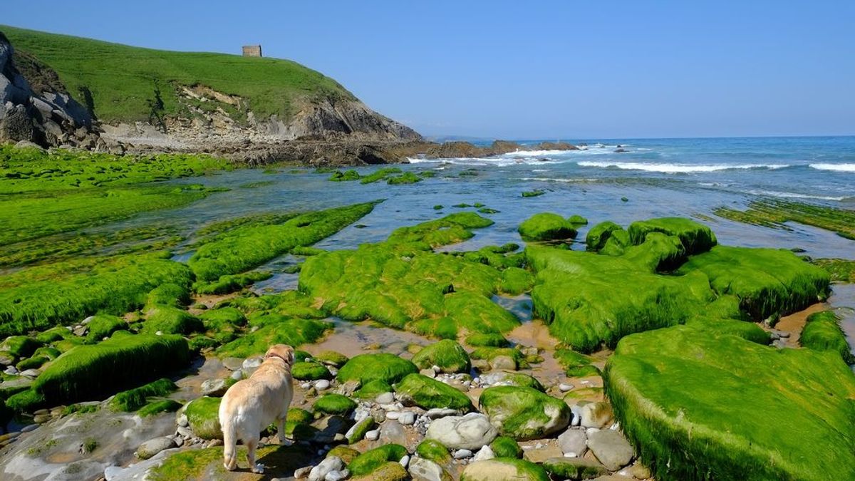 Te contamos los 10 mejores destinos para las vacaciones: Cantabria ocupa el segundo puesto