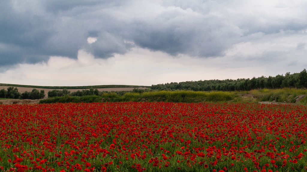 Ángela Tejeda Navarro en Otura, Granada