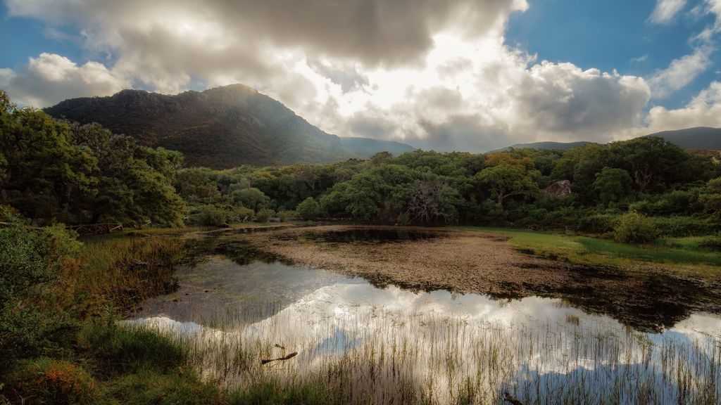 José Otero en Alcalá de los Gazules, Cádiz