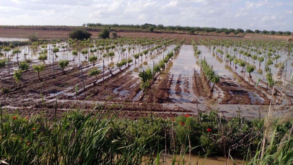 Gabriel Picazo Picazo en Madrigueras, Albacete