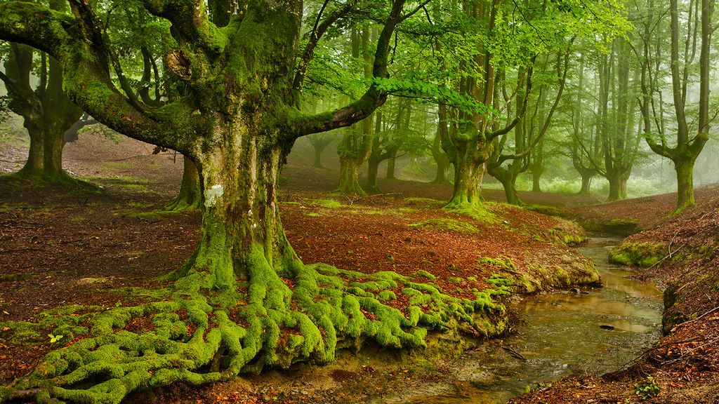 Imanol Aragón en Ceánuri, Vizcaya