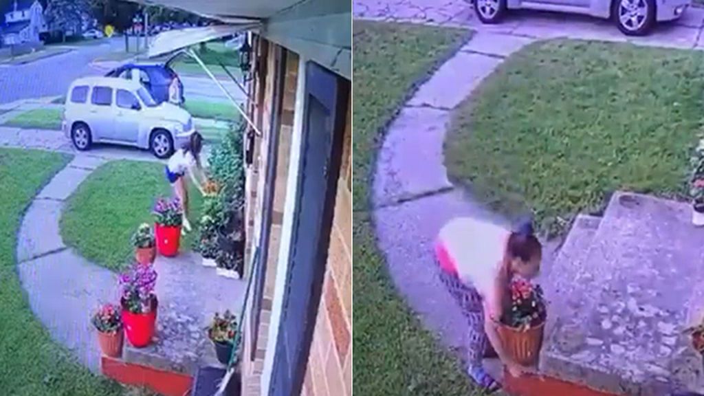 Dos ladronas que se dedicaban a robar macetas desencadenan una respuesta ciudadana ejemplar