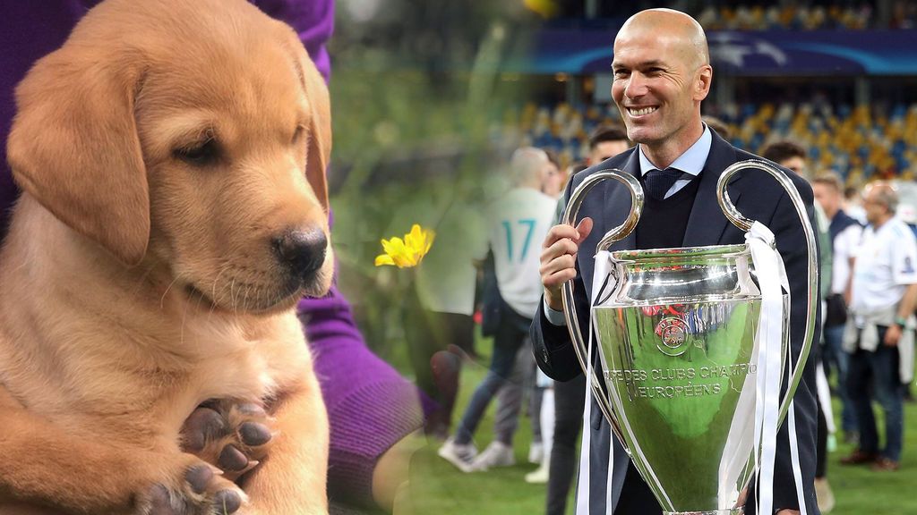 La hija de Florentino Pérez llama ‘Zizou’ a su nuevo perro tras la marcha de Zidane del Real Madrid