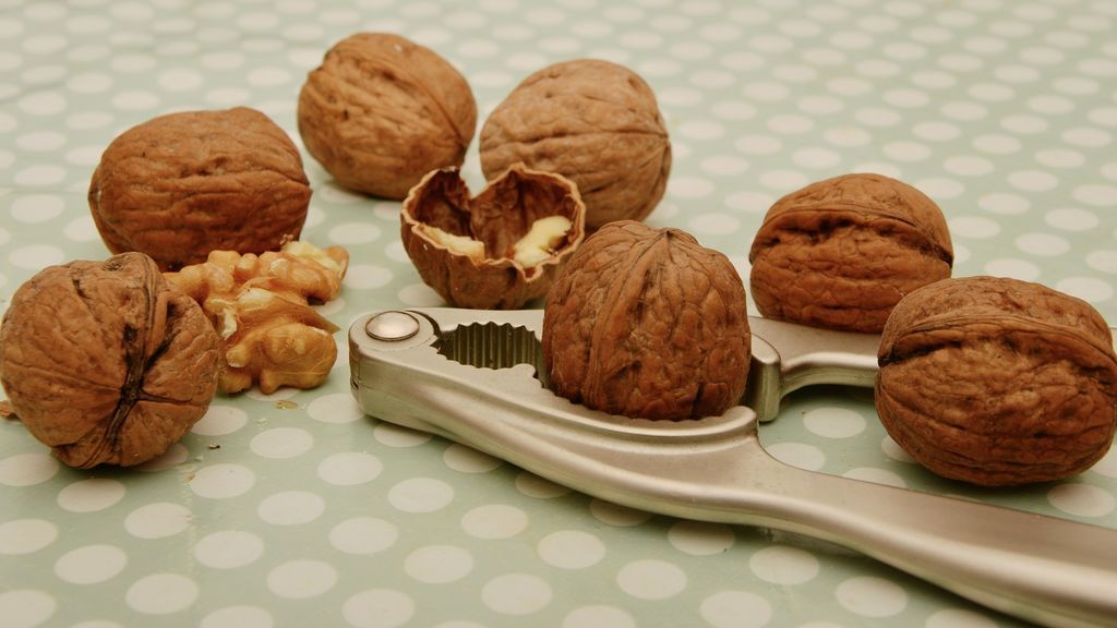 Nueces