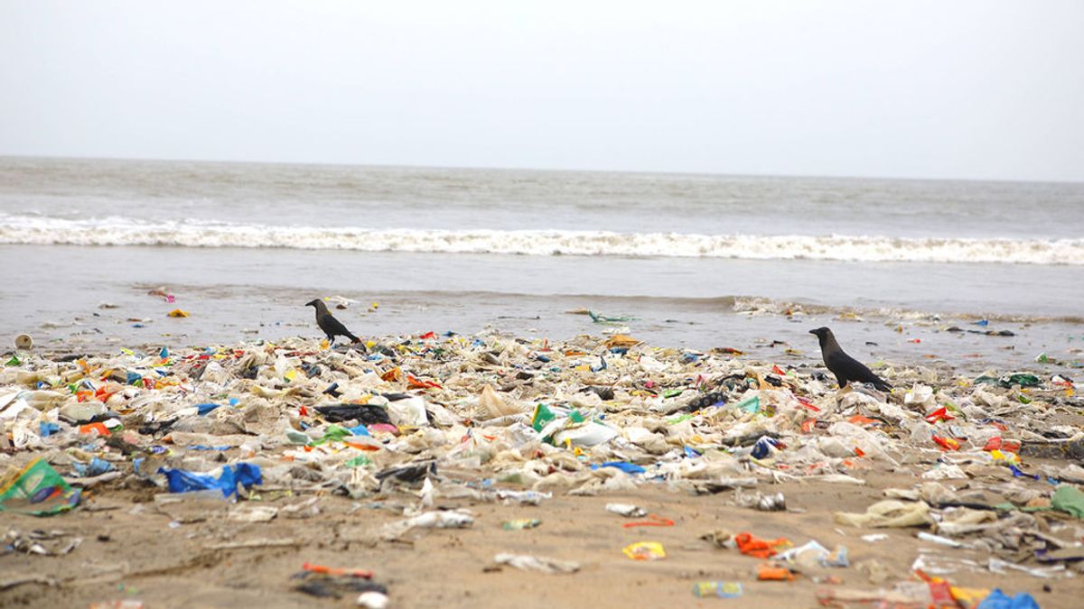 El Día Mundial del Medio Ambiente, contra el plástico: “Si no puedes reusarlo, rehúsalo”