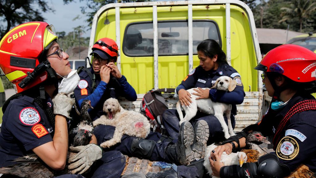 Los bomberos rescatan animales en Guatemala