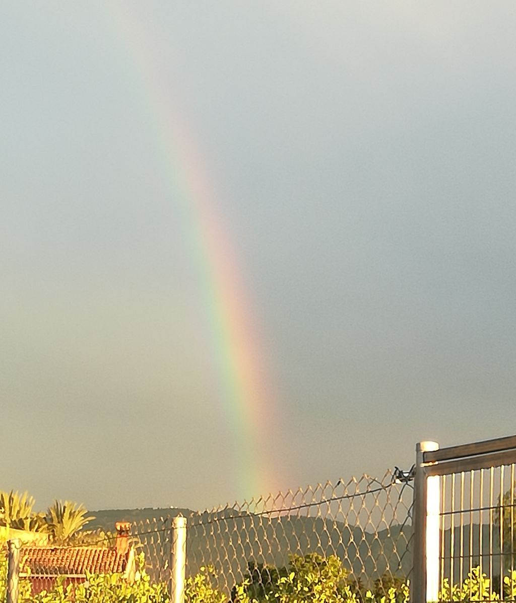 Mari Cruz Hernández Martínez en Murcia