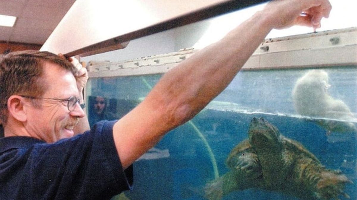 Un profesor de biología alimenta a una tortuga con un cachorro moribundo