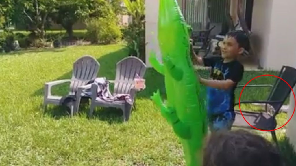 Angustiosa sorpresa: graba cómo juega su hijo y descubre un aligátor observándole