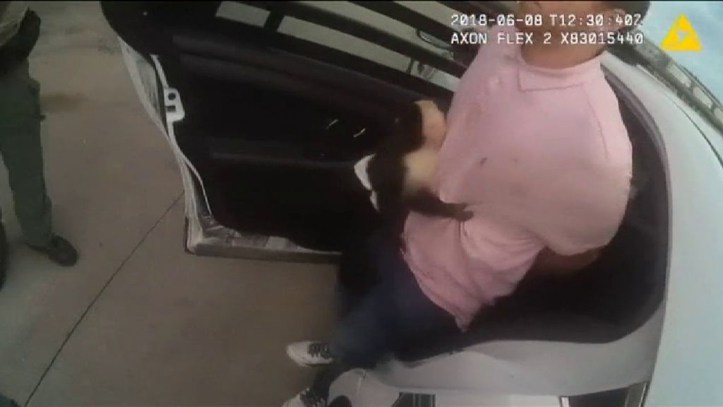 Detenido un ladrón de coches en Florida por llevar un mono sin papeles