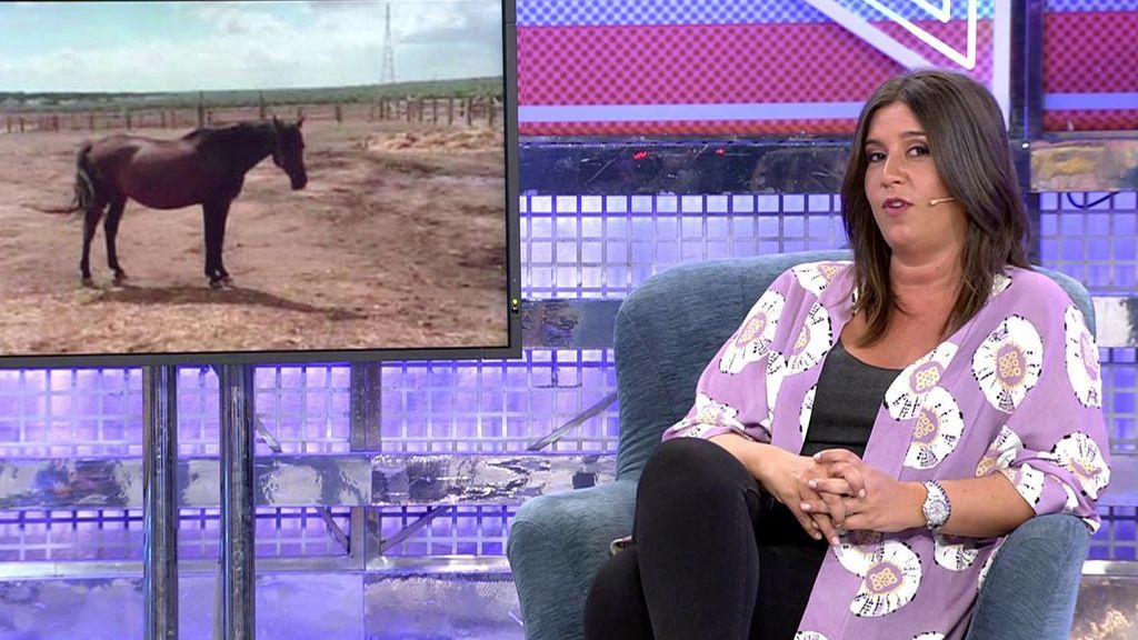 Anabel Gil Silgado aclara la polémica de los caballos: "Me dijo que si no los vendía los mataba"